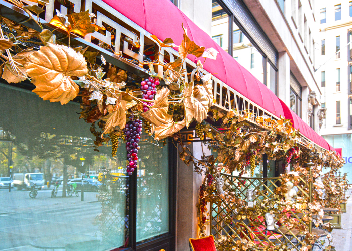 Bacchanalia Canopies for Winter